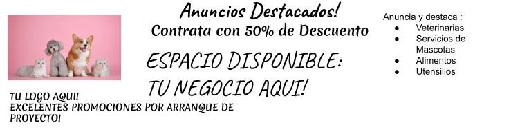 banner mascotas