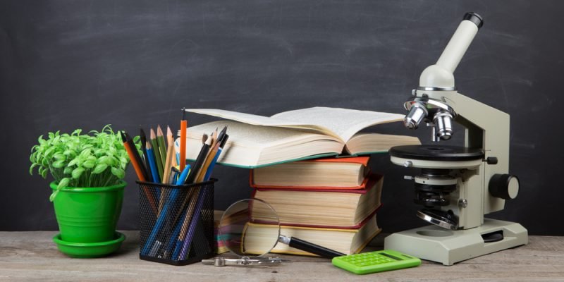 educacion concepto e1536242678466 800x400